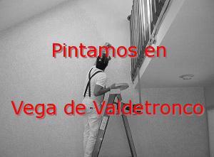 Pintor Valladolid Vega de Valdetronco